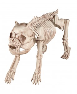 Bones the Hungry Hound Skeleton Dog