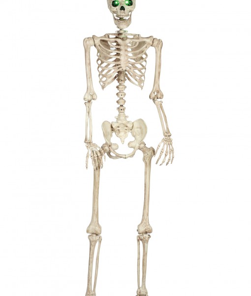 Pose-N-Stay Light Up Skeleton