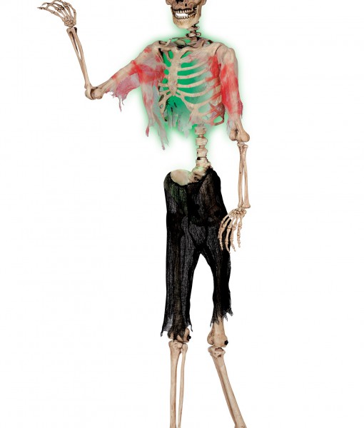 Posable Zombie Skeleton