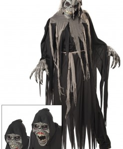 Scary Crypt Crawler Costume