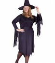 Plus Size Tattered Witch Costume