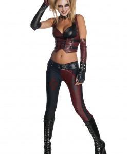 Arkham City Harley Quinn Costume
