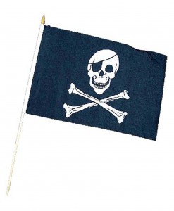 Skull & Crossbones Pirate Flag