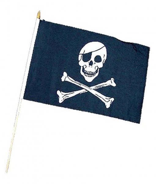 Skull & Crossbones Pirate Flag - Halloween Costume Ideas 2023