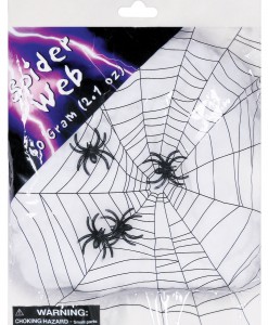 Spider Web with Spiders