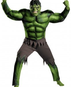 Adult Avengers Hulk Muscle Costume