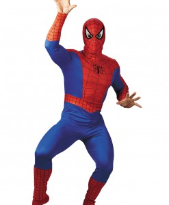 Adult Spider-Man Costume
