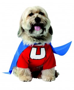 Underdog Dog Costume