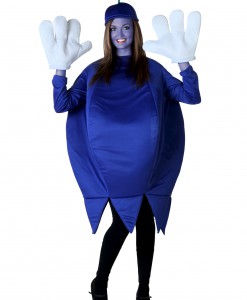 Adult Blueberry Costume