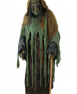Adult Witch Costume