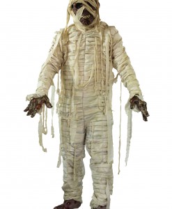 Adult Mummified Costume