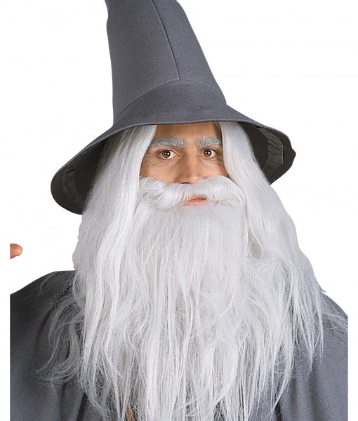 Gandalf Beard Kit - Halloween Costume Ideas 2019