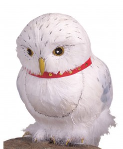 Hedwig Accessory