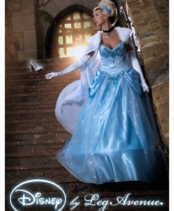 Womens Disney Deluxe Cinderella Costume