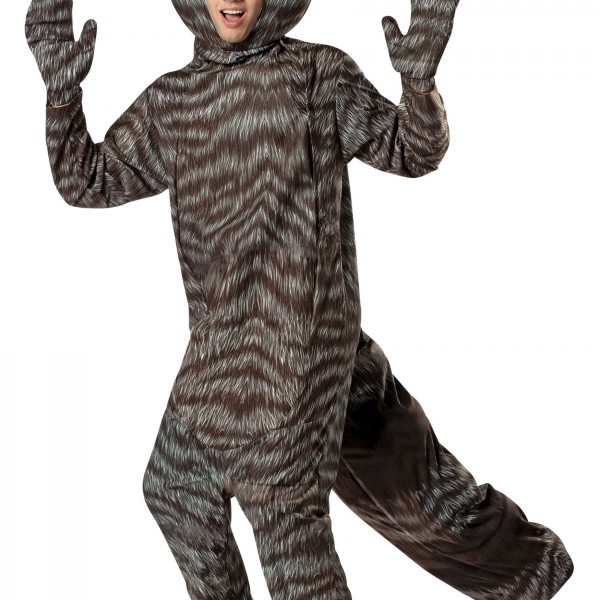 Adult Raccoon Costume Halloween Costume Ideas 2023 9090