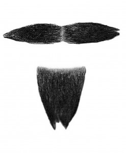 Costume Mustache and Goatee
