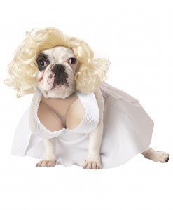 Pet Marilyn Monroe Costume