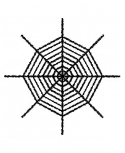 Giant Shimmering Spider Web