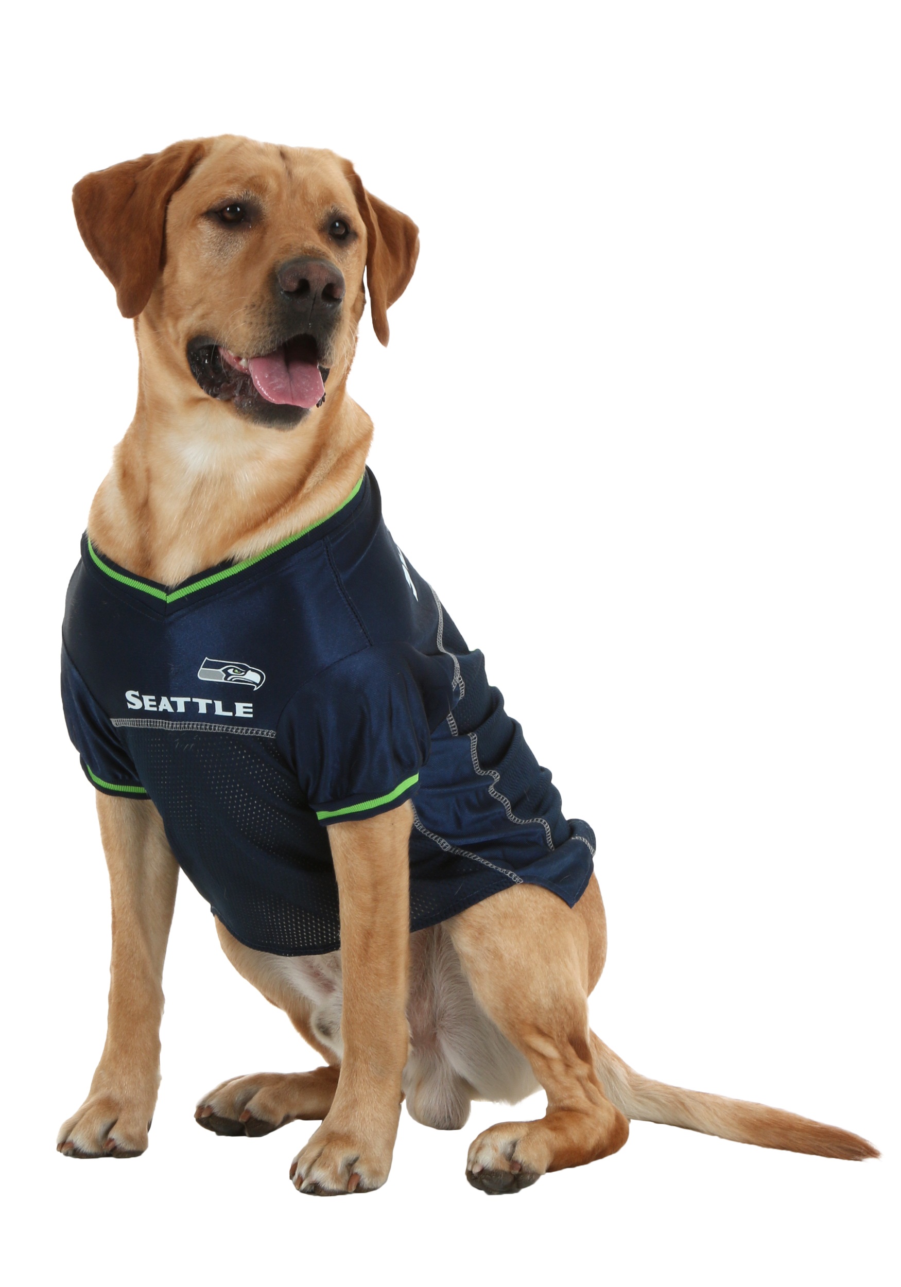 Seattle Seahawks Dog Mesh Jersey - Halloween Costume Ideas 2023