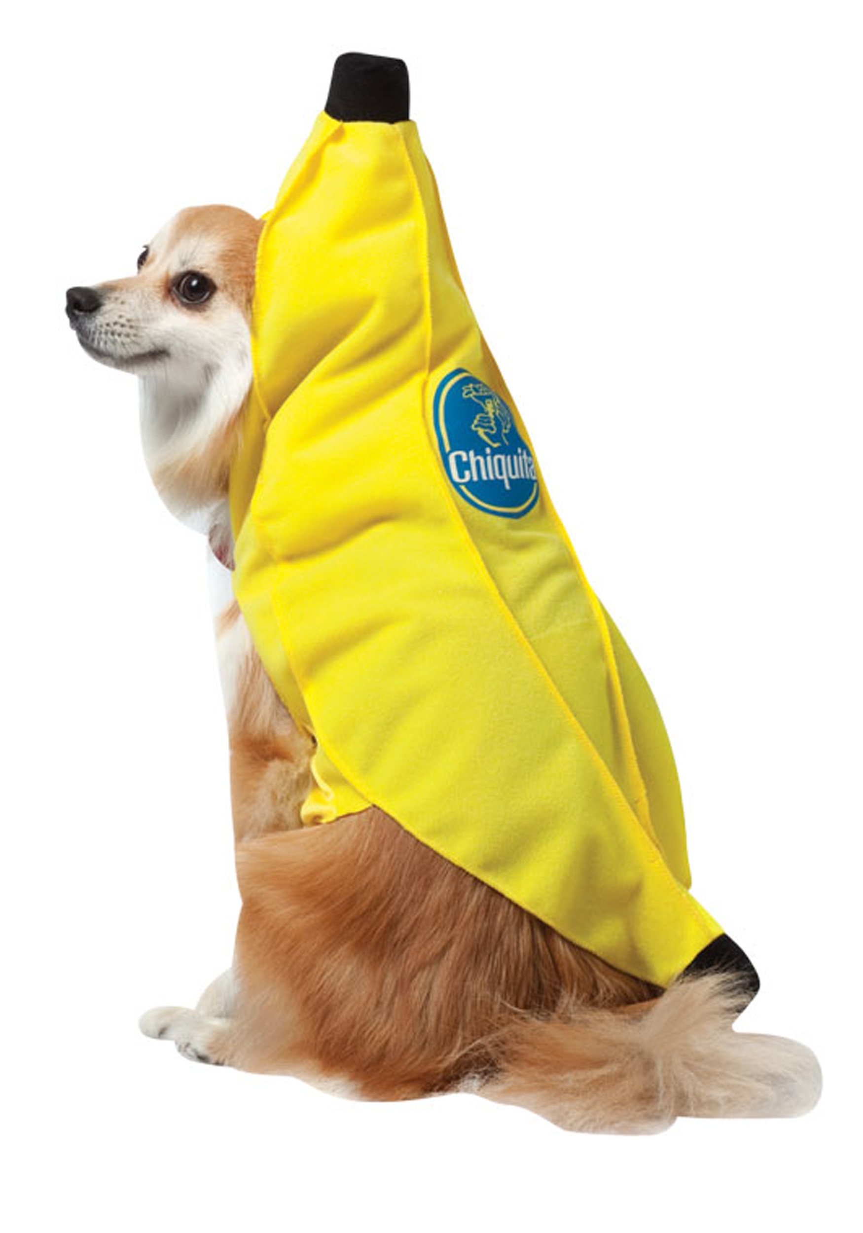Chiquita Banana Dog Costume - Halloween Costume Ideas 2022