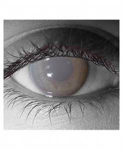 Gothika Walking Dead Zombie Contact Lens