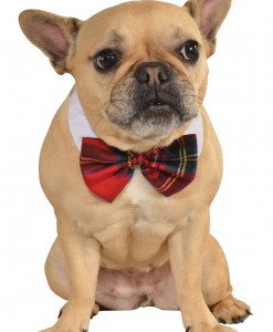 Plaid Bow Tie Pet Costume