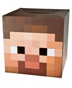 Minecraft Steve Head