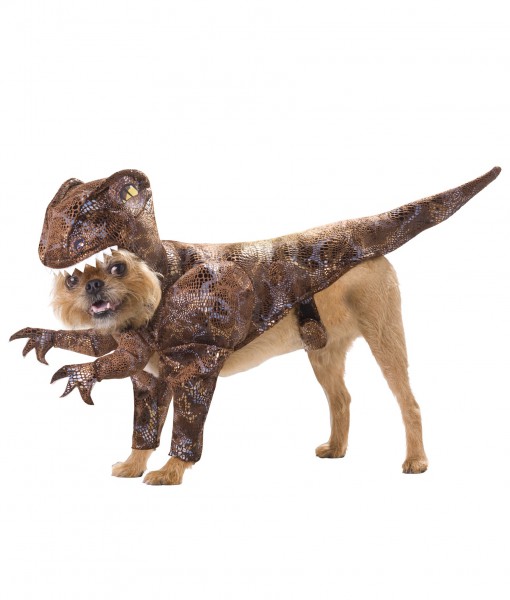 Pet Raptor Costume
