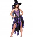 Bewitching Beauty Costume