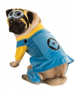 Minion Pet Costume