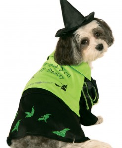 Wicked Witch of the West Pet Costume
