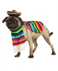 Mexican Serape Pet Costume
