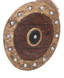 Viking Shield