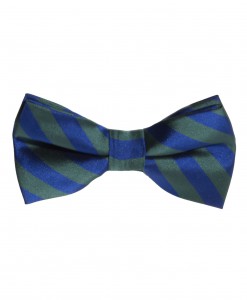 Green/Blue Striped Bow Tie