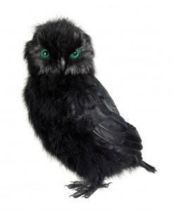 14 Inch Black Owl