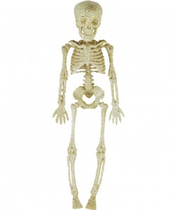 11.5 Silver Glitter Skeleton