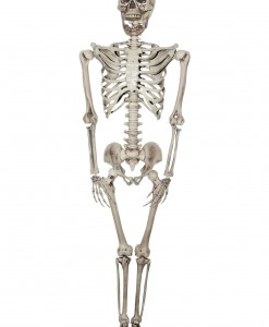 Titan Skeleton