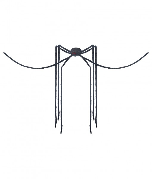 Giant Spider with Long Legs