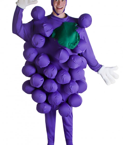 Purple Grapes Costume