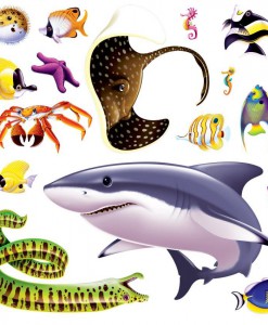 Marine Life Props Add-On