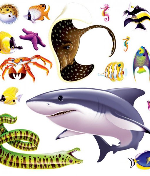 Marine Life Props Add-On