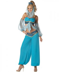 Harem's Jewel Elite Collection Adult Costume