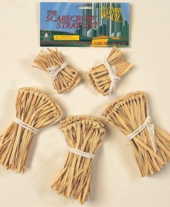 The Wizard of Oz - Scarecrow Straw Accessory Kit