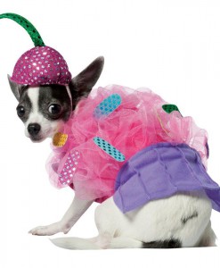 Cupcake Pet Costume