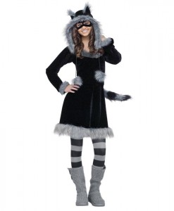 Sweet Raccoon Teen Costume