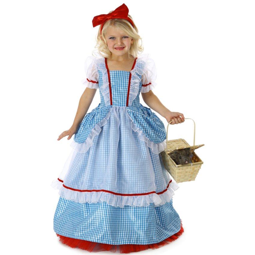 Wizard of Oz Pocket Deluxe Dorothy Costume - Halloween Costume Ideas 2023