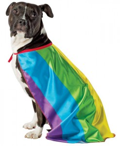 Rainbow Flag Cape Pet Costume
