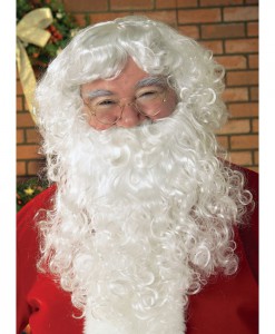 Economy Santa Beard Wig Set Adult