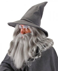 Lord Of The Rings Gandalf Hat (Adult)