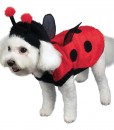 Lovely Ladybug Dog Costume